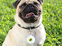 ; Tracker für Haustiere Tracker für Haustiere Tracker für Haustiere Tracker für Haustiere 