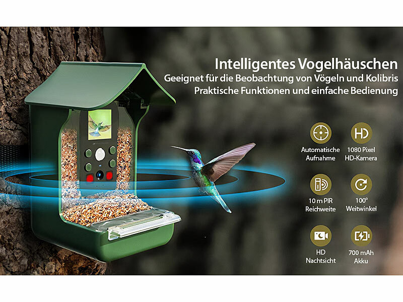 Mangeoire intelligente pour oiseaux avec caméra, mini mangeoire à